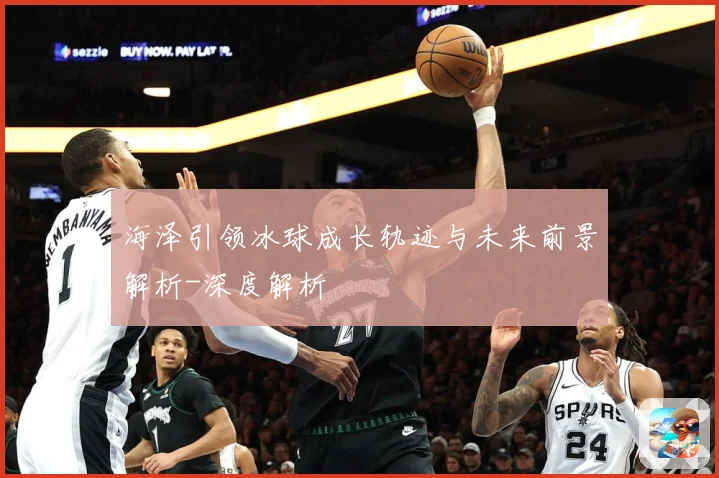 海泽引领冰球成长轨迹与未来前景解析-深度解析