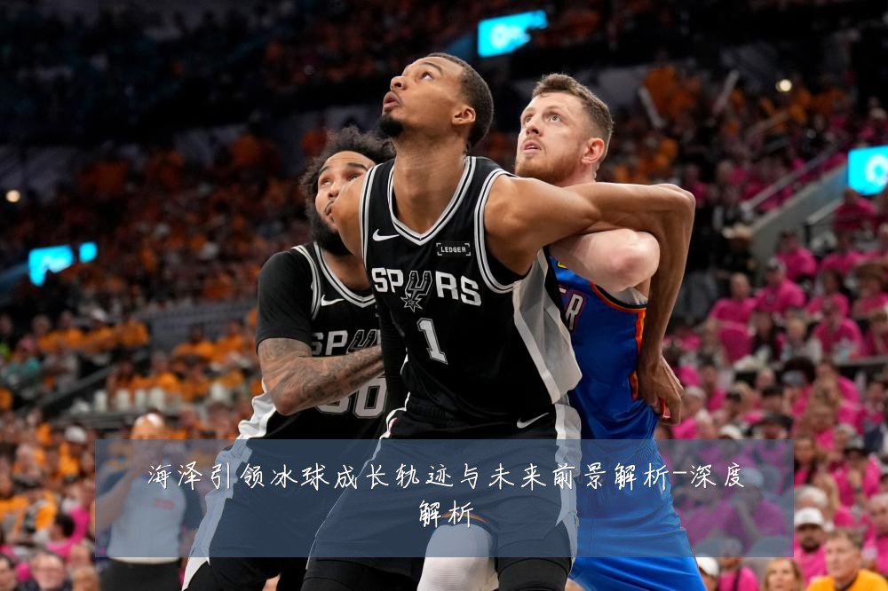 海泽引领冰球成长轨迹与未来前景解析-深度解析