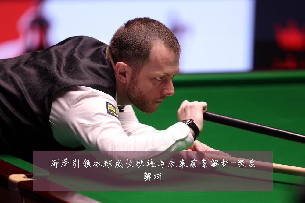 海泽引领冰球成长轨迹与未来前景解析-深度解析